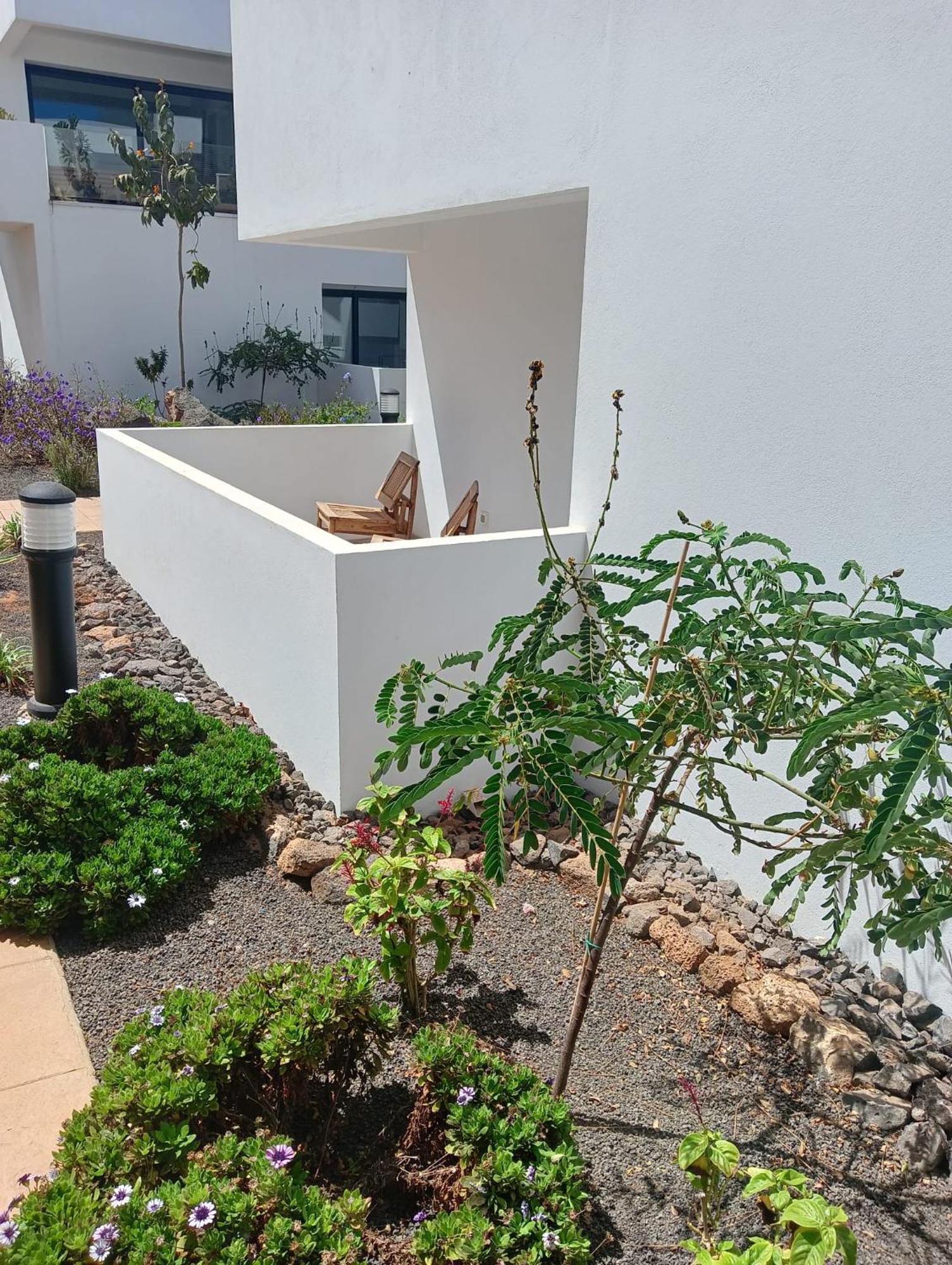 Appartement Aulaga à Villaverde  Extérieur photo
